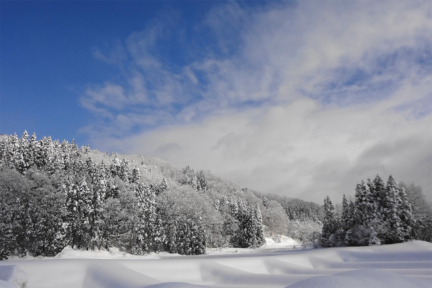 雪とともに生きる