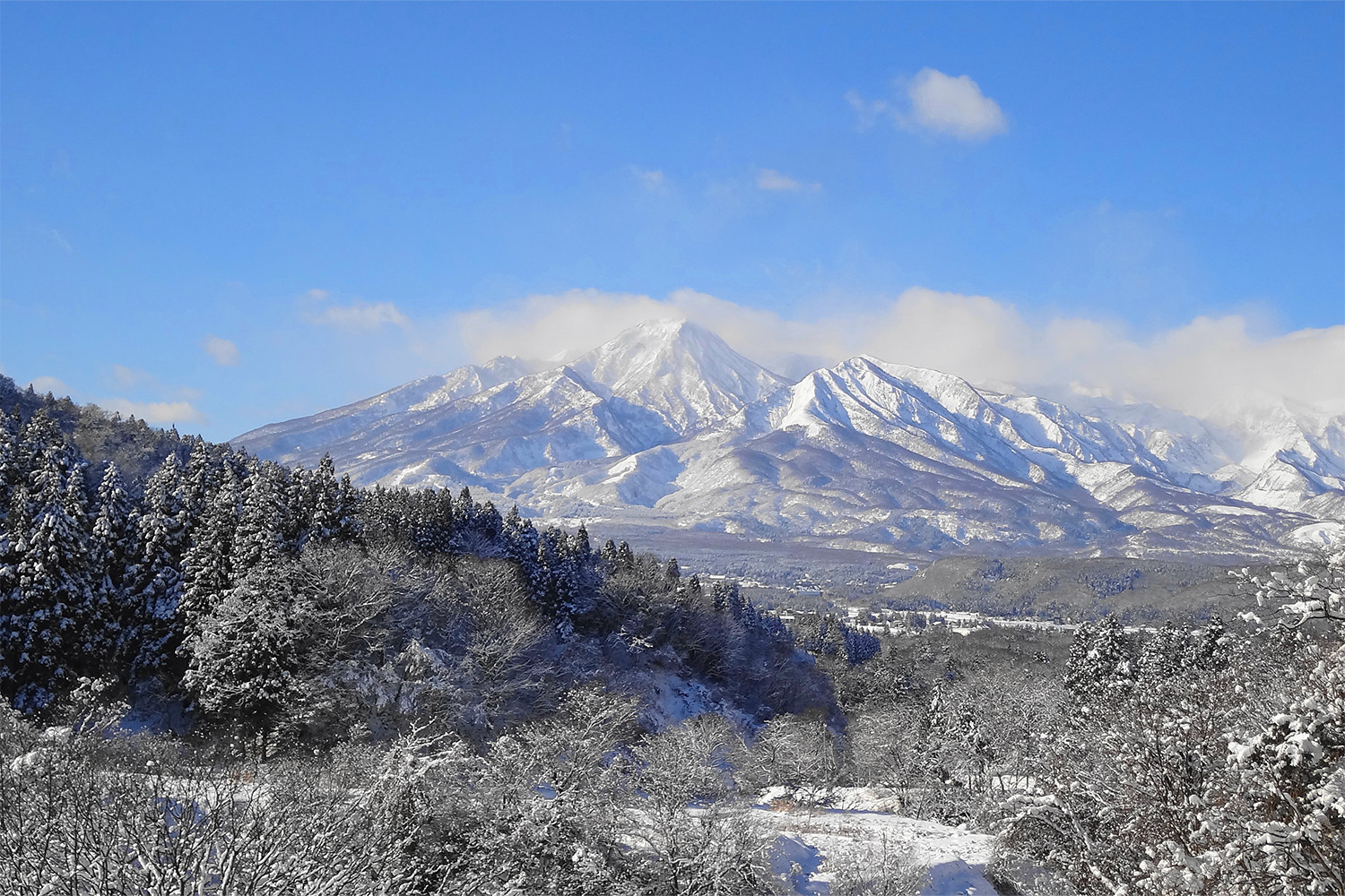 The snowy world that shapes our saké